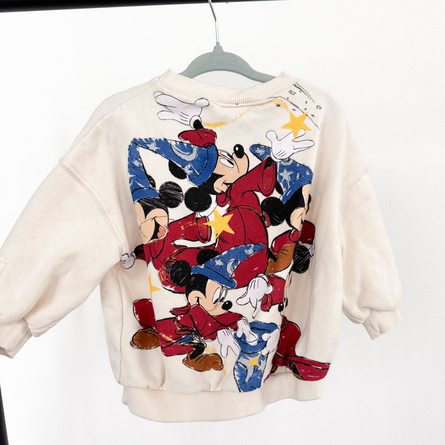 Zara Fantasia Crewneck